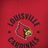 University of Louisville Cardinals Faded iPhone X Skin