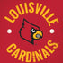 University of Louisville Cardinals Faded iPhone XR Pro Case