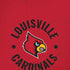University of Louisville Cardinals Faded iPhone XS Max Skin