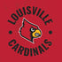 University of Louisville Cardinals Faded Moto E5 Play Skin