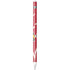 University of Louisville Red Basketball Apple Pencil (1st Gen, 2017) Skin