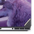 Loving Wolves by Vincent Hie Dell Precision Skin
