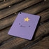 Adult Swim Adventure Time Lumpy Space Princess Apple iPad Pro Skin