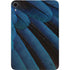 Macaw Apple iPad Mini Skin