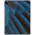 Macaw iPad Pro 11in (2024) Clear Case