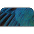 Macaw Nintendo Switch 2 (2025) with Joy-Con Skin