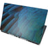 Macaw Dell Precision Skin