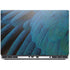 Macaw Dell Precision Skin
