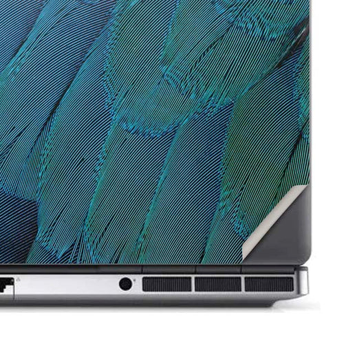 Macaw Dell Precision Skin