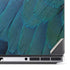 Macaw Dell Precision Skin