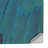 Macaw PS5 Pro Console Skin