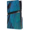 Macaw PS5 Pro Disk Console Skin