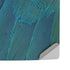 Macaw PS5 Pro Disk Console Skin