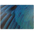 Macaw Surface Laptop 7 13.8in Skin