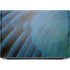 Macaw HP ZBook Fury 16 G10 Skin