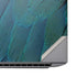 Macaw HP ZBook Fury 16 G10 Skin