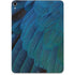 Macaw Apple iPad Pro Skin