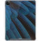 Macaw iPad Cases