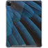 Macaw iPad Cases