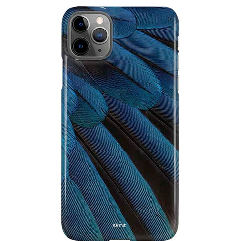 Macaw iPhone Cases
