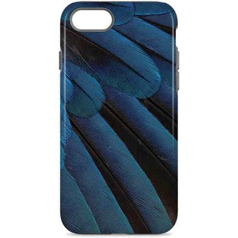 Macaw iPhone Cases