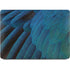 Macaw Apple MacBook Air Skin