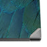 Macaw Dell XPS Skin
