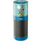 Disney Alice in Wonderland Mad Hatter Tea Party Amazon Echo Skin