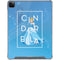 Disney Princess Magical Cinderella iPad Cases
