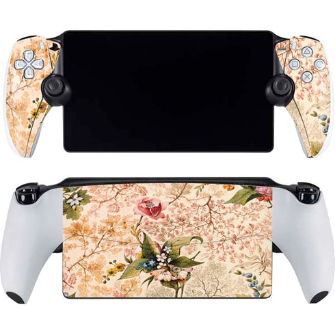 Marble End by William Kilburn PlayStation Portal Remote Player Skin