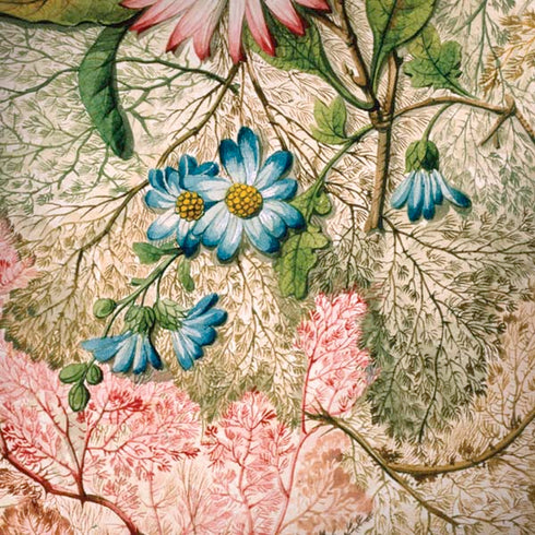 Marbled Paper by William Kilburn Moto G6 Skin