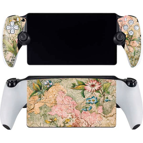 Marbled Paper by William Kilburn PlayStation Portal Remote Player Skin