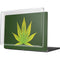 Marijuana Leaf Light Green MacBook Pro 14in (2021-24) Case plus Skin