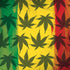 Marijuana Rasta Pattern Moto G6 Skin