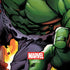 Marvel Avengers Assemble Hulk Amazon Echo Skin