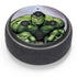 Marvel Avengers Hulk Amazon Echo Dot Skin