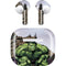 Marvel Avengers Hulk Apple AirPods (3rd Gen 2021) Skin