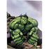 Marvel Avengers Hulk PS5 Digital Edition Bundle Skin