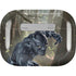 Marvel Black Panther In the Jungle Apple AirPods Pro Skin