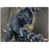 Marvel Black Panther In the Jungle Surface Laptop 4 15in Skin