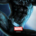 Marvel Black Panther Jumping Through Air Amazon Echo Skin
