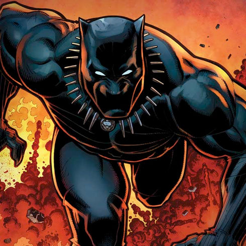 Marvel Black Panther Rise of Black Panther Dell Alienware Skin