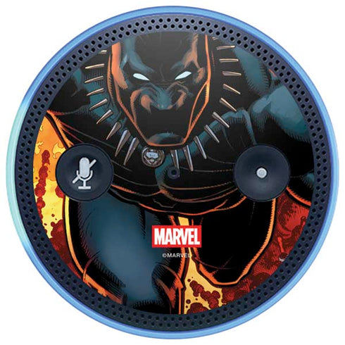 Marvel Black Panther Rise of Black Panther Amazon Echo Skin