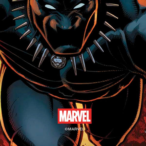 Marvel Black Panther Rise of Black Panther Amazon Echo Skin