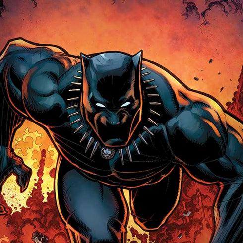 Marvel Black Panther Rise of Black Panther iPhone X Skin