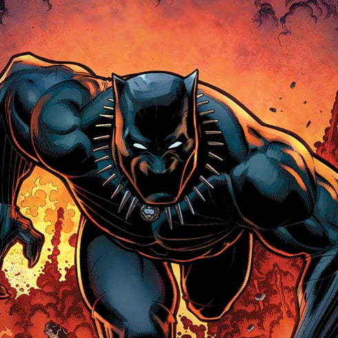 Marvel Black Panther Rise of Black Panther iPhone XS Skin