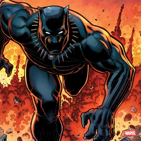 Marvel Black Panther Rise of Black Panther PS4 Console Skin