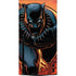 Marvel Black Panther Rise of Black Panther Xbox Series X Console Skin