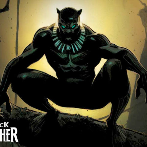 Marvel Black Panther TChalla King of Wakanda Dell Alienware Skin