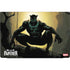 Marvel Black Panther TChalla King of Wakanda Dell Vostro Skin